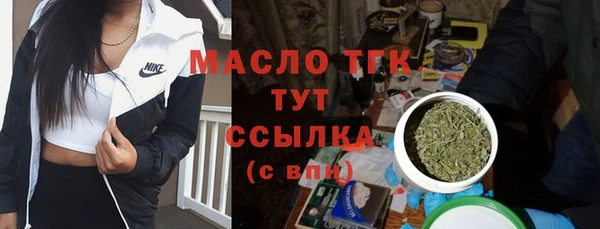 молекула духа Бородино