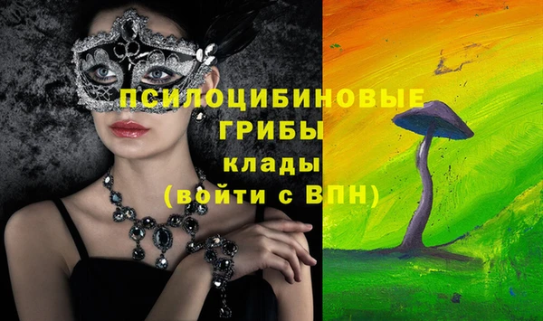 герыч Бугульма